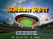 Sega Worldwide Soccer PC